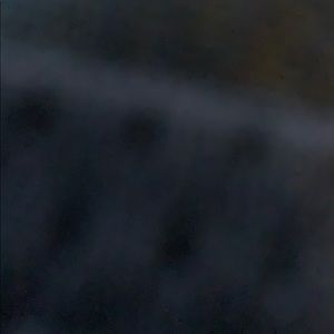 Meet your Posher, Carter